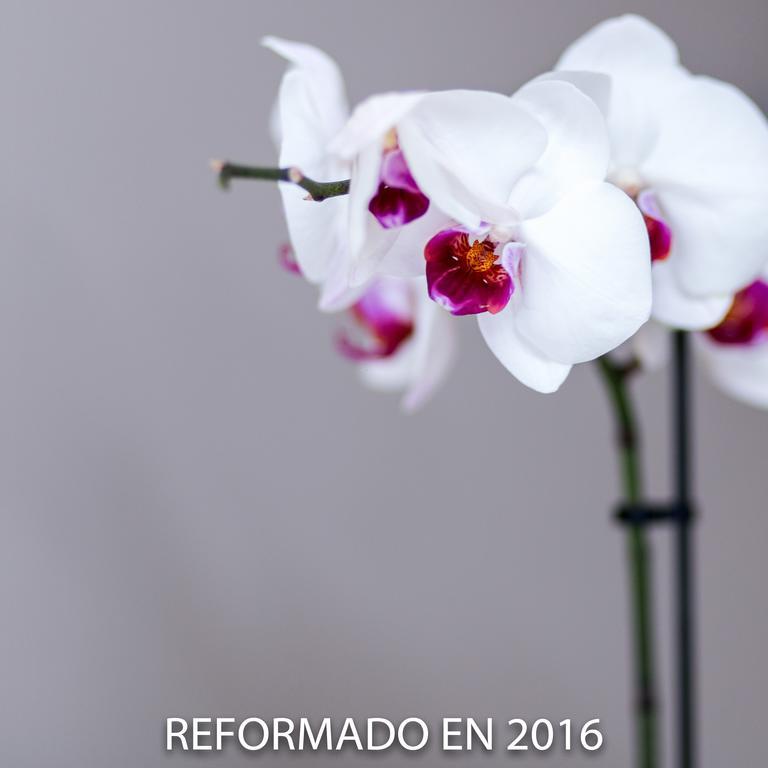 Di' Carlo Hotel Madrid Bagian luar foto